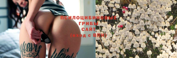 дживик Баксан