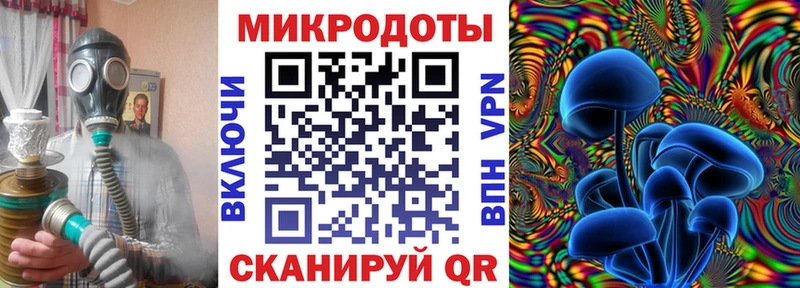 Галлюциногенные грибы Cubensis Свободный