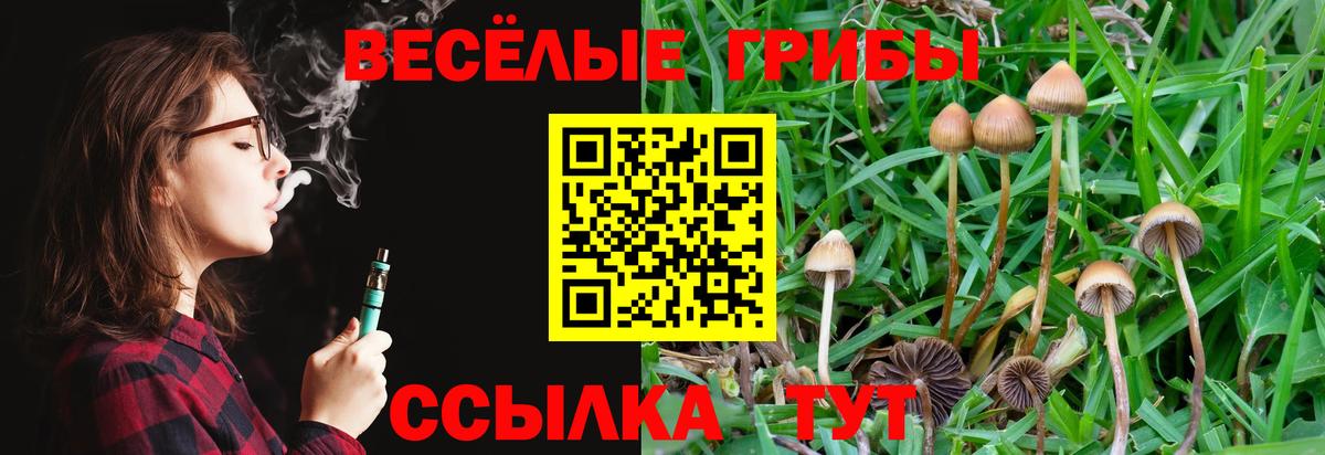 Галлюциногенные грибы Cubensis Свободный